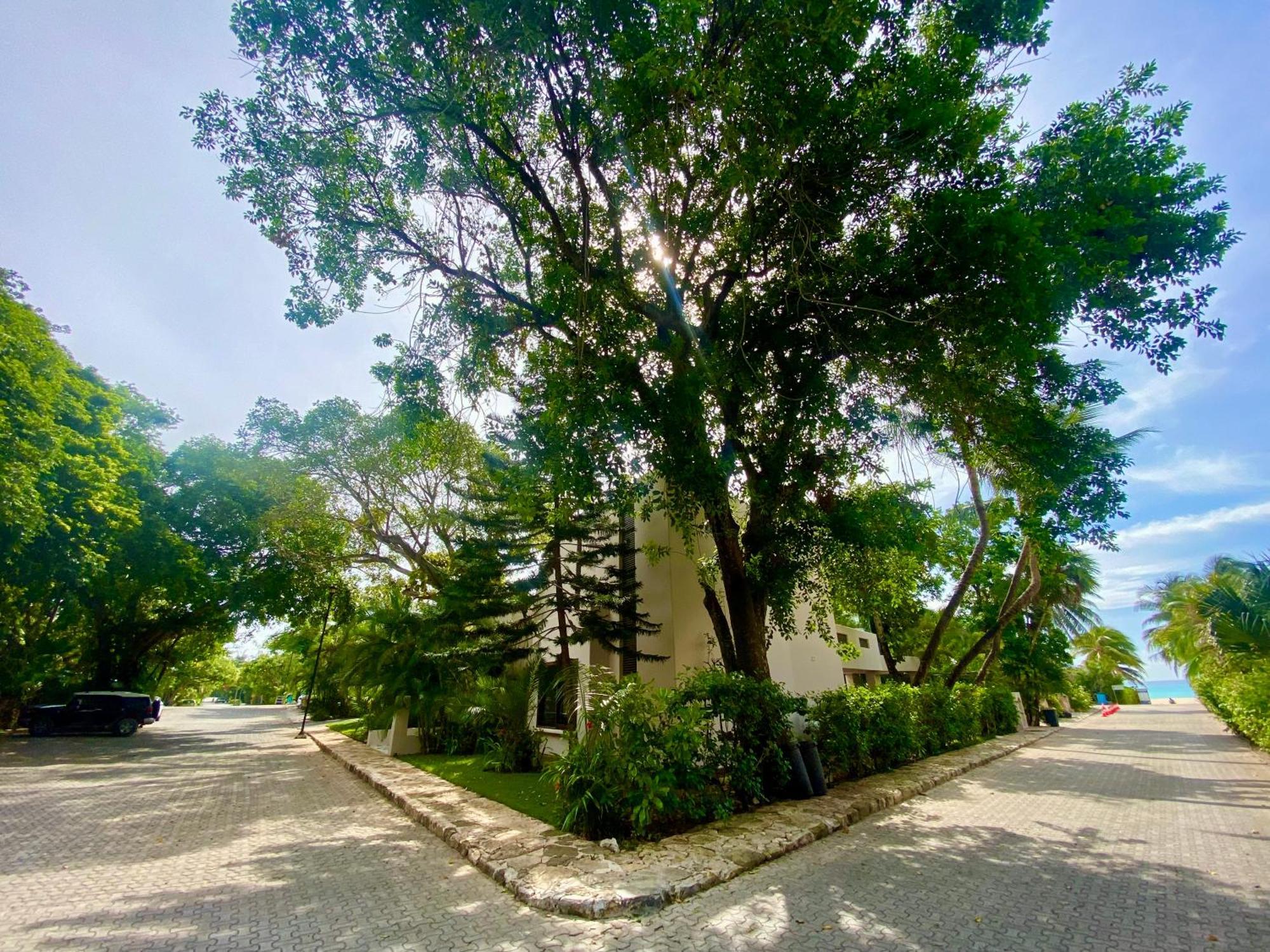 Villa Almendra Playacar 1 Playa del Carmen Buitenkant foto